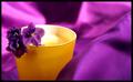 Born in the purple