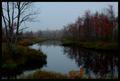 Complementary Reflections - Green and Red