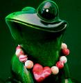 Reds and Greens ~ Frogs and Love