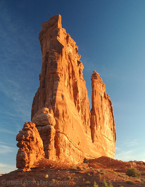 Courthouse Towers