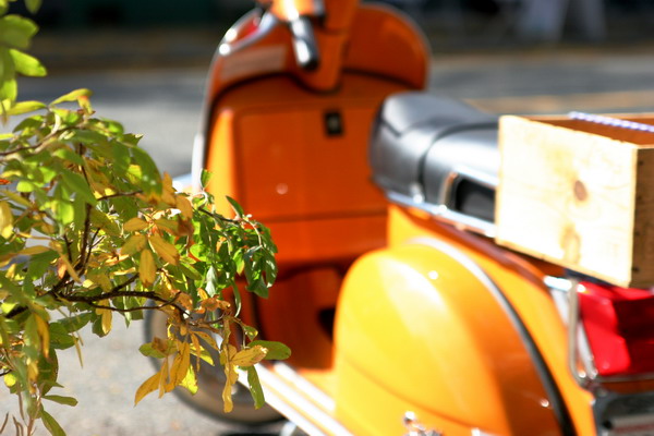 Orange Scooter