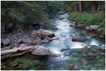 The Beauty of Nature