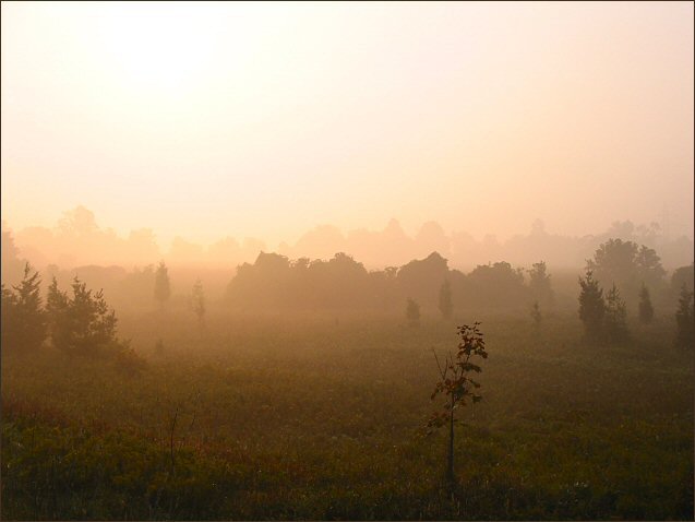 Be in awe of nature - You're part of it