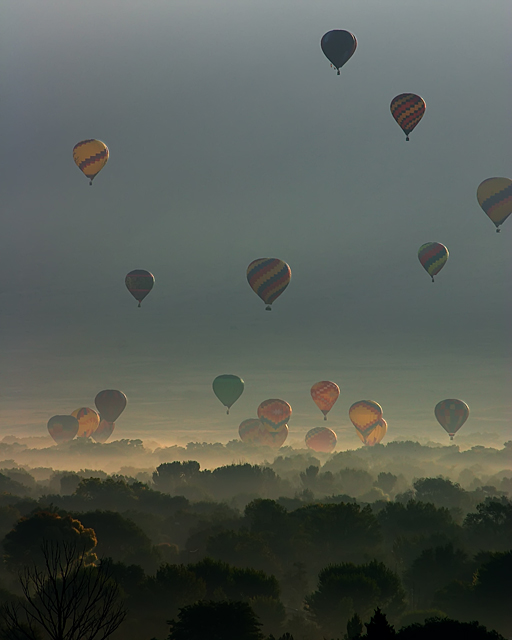 Magical Morning Mist