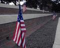 Red, White and, Blue