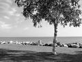 Morning on Lake Michigan