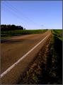 The Long Road Home