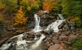 Autumn Falls