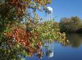 fall colors