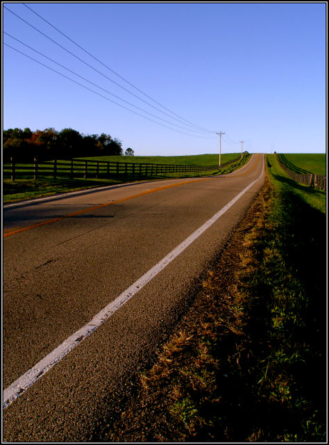 The Long Road Home