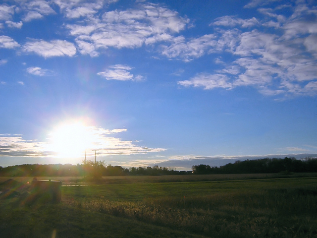 Autumn Morning