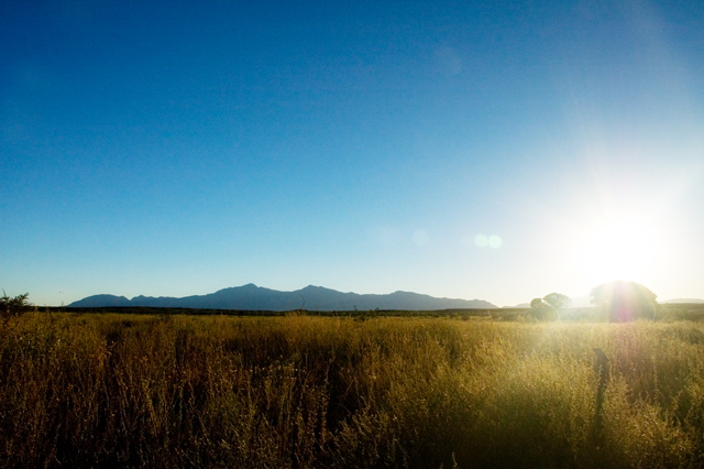 Sun Setting Behind the Huachucas