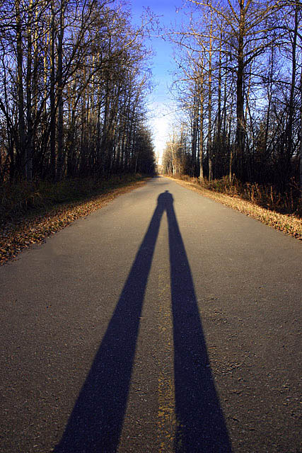 Shadow on an Autumn Road