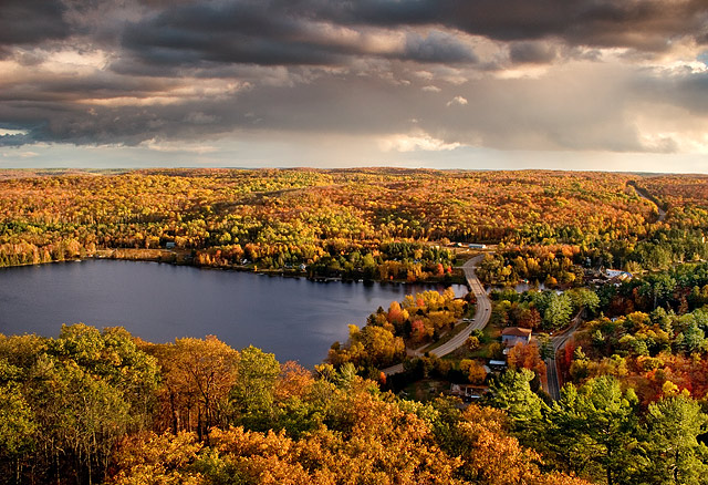 Golden Muskoka