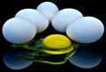 Sunny Side Up