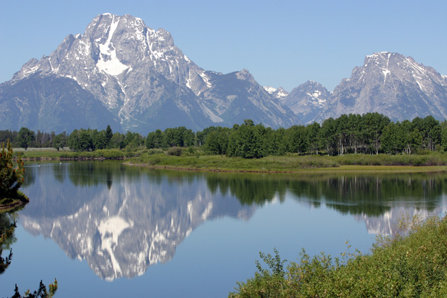 Reflections of Nature