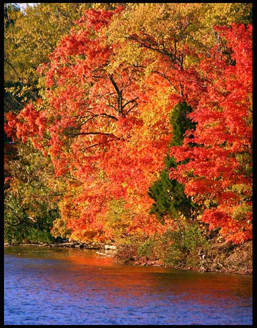 Fall reflection