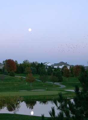 Shadow Ridge on Autumn Night