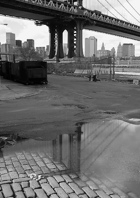 dumbo