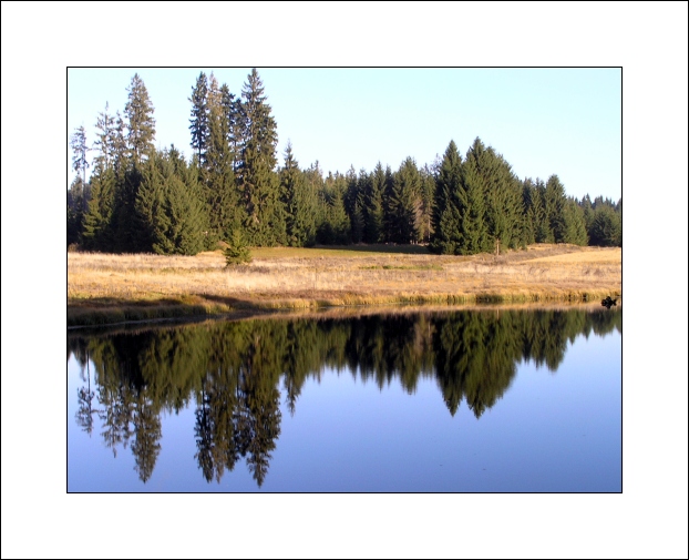 Mirror in Lake