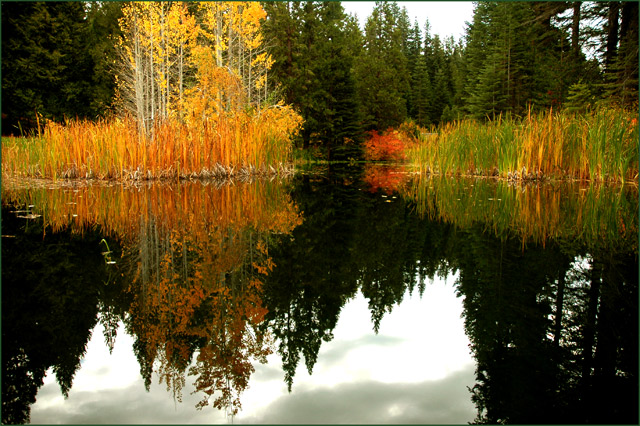 Reflections of Autumn