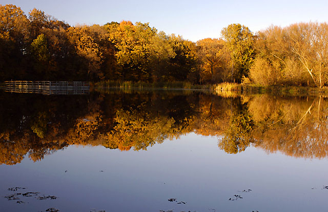 Fall Colors