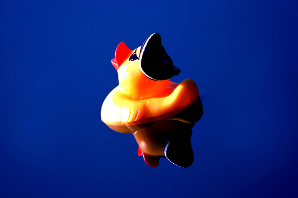 A Pirates Life for Me- Quack!!!