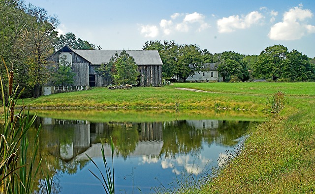 The Farmer's Pond