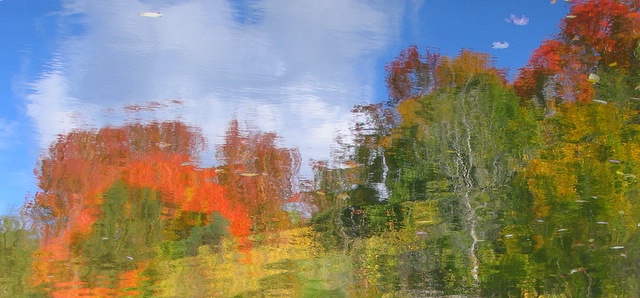 Autumn in Oil