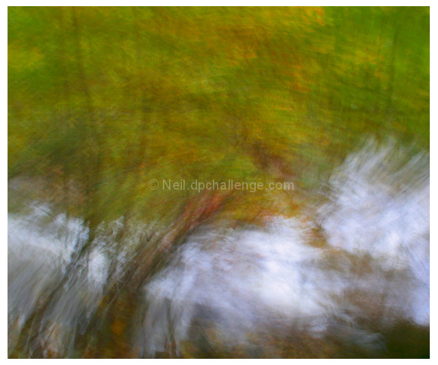 Autumn Reflections