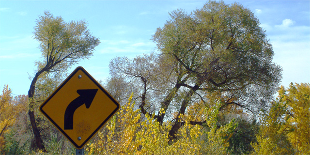 Curves Ahead