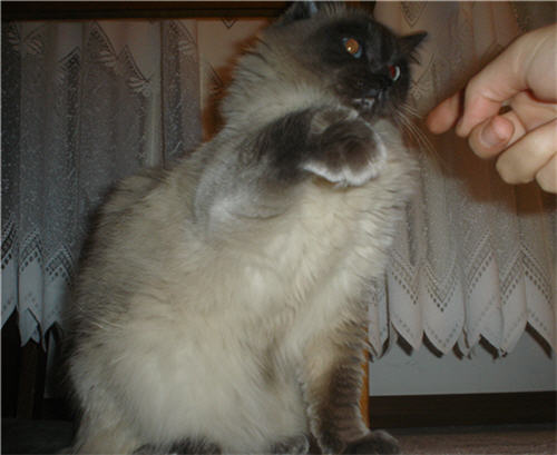 what do you want from me?
