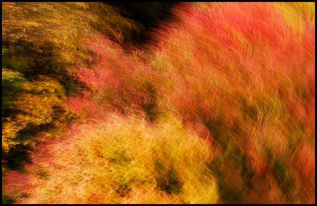 Autumn Wind