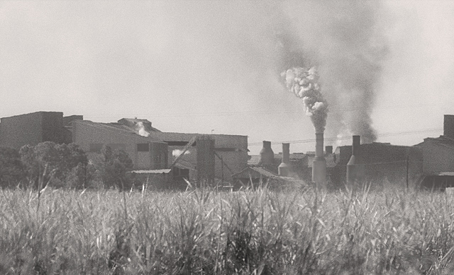 Sugar Mill
