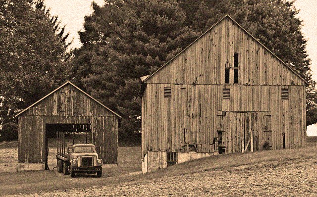 On the Old Tobacco Farm