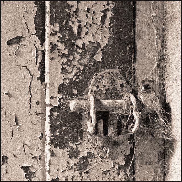 Cellar Door