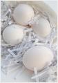 My Nest Egg