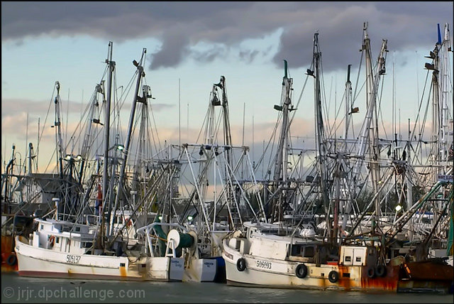 Massed Masts