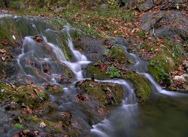 Babbling Brook