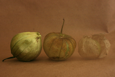 Progression of the Tomatillo