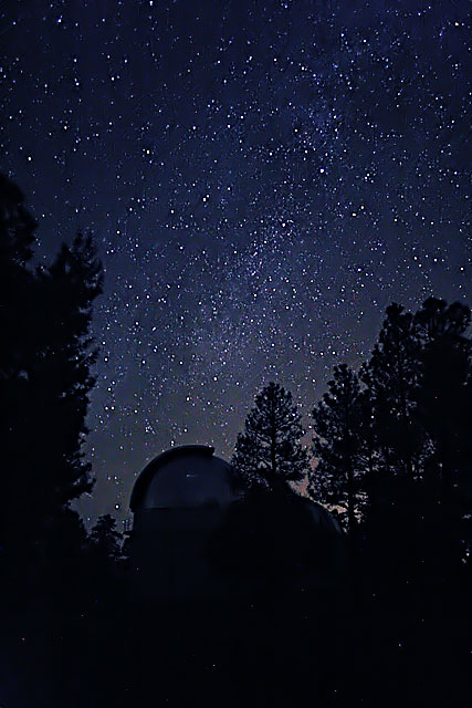 Half a Minute with the Cygnus Milky Way