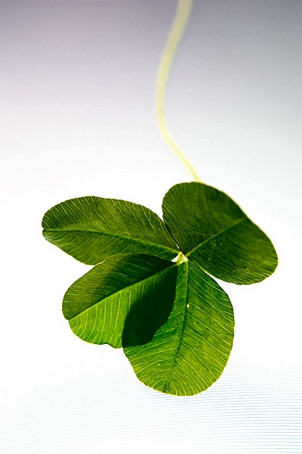 Luck of the Irish