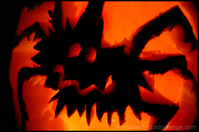 Spider!