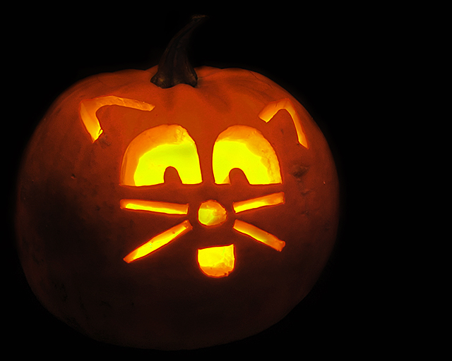 Cat-O-Lantern