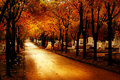 Fallen Road