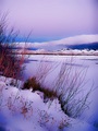 Snow by Sunset