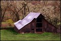 Barn With Color