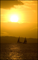 Sunset Sail
