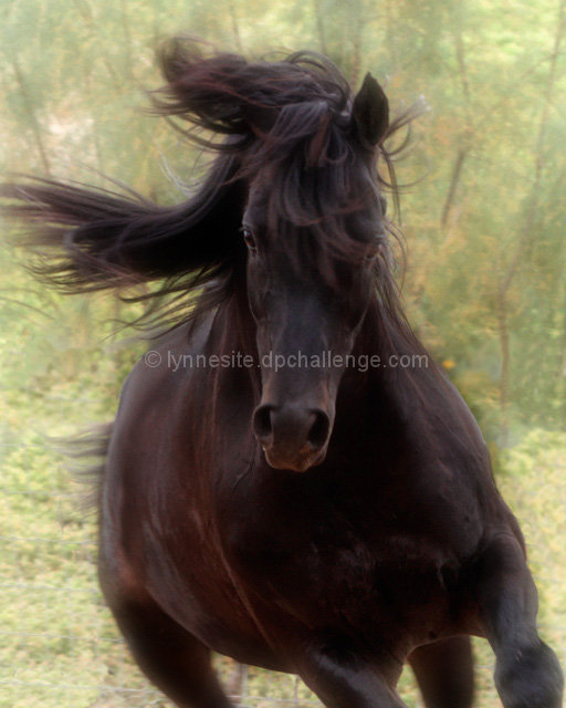 Horsepower