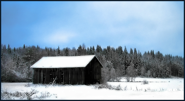 Winter Morning Chill